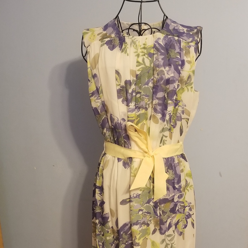 Adrienne Vittadini Dress